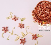 خلال پسته