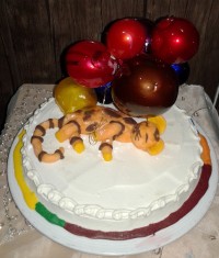 کیک گربه وبادکنک