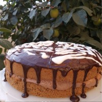 چیزکیک شکلاتی دوبل