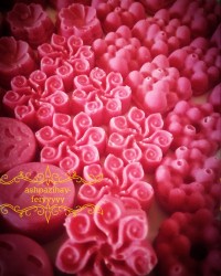 شکلات میلکا