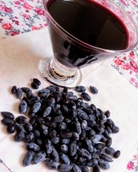 آب زرشک کوهی