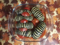 یه جور غذای فانتزی با بادمجان