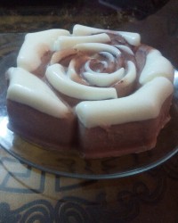 پاناکوتا دورنگ