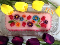 پاناکوتا توت فرنگی