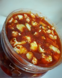 ترشی سالادی