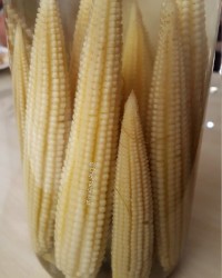 کنسرو ذرت شیرین