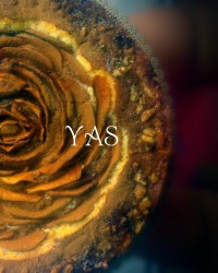 کیک سیب ودارچین