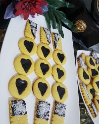 بیسکوییت کاسترد