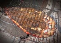 ماهی تنوری (غزال)