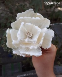 گل های شکری