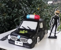 کیک ماشینی پسرگربه ای