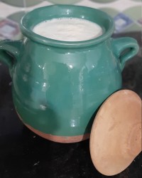 ماست و پنیر زیره ای