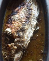 ماهی شکم پر...نهار امروز ما