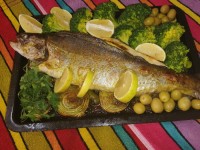 ماهی رژیمی...