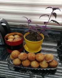 بازم کیک یزدی