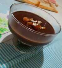 پودینگ رژیمی کاکائویی