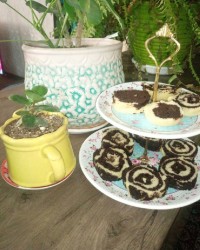 اینم از کیک فنجونی من؟؟؟؟؟