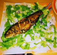 قزل الا شکم پر سرخ شده