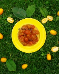 مربا_کامکوات