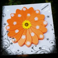 دسرهویج رسپی خانم CHEEF