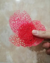 توری خوراکی تزیینی