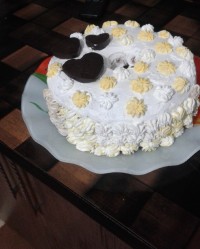 کیک تولدخونگی