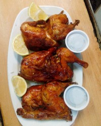 اکبر جوجه (ورق بزن)