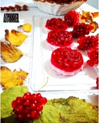 ژله بستنی انار