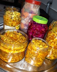 ترشی سالادمشهدی ترشی فصل