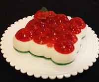 ژله انار،پاناکوتا. پیشاپیش یلدا مباااارک.