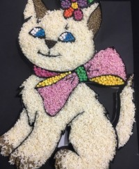 باکس برنجک پارسالم که خیلی براش زحمت کشیدم