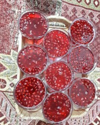 یلدا ژله انار باسلوق پرتقالی پشمک شکلات لطفا کپشن بخونید