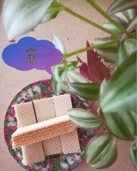 شیرینی میکادو بازاری