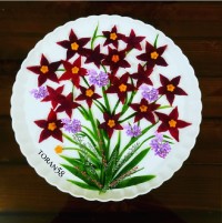 بوته ی گل بالبو