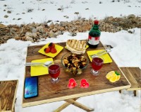 جوجه ڪباب زغالی در دل طبیعت و برفღ