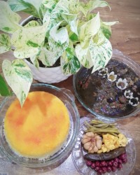 قرمه سبزی سکوت بانو