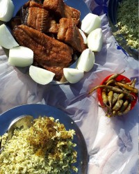 نهار در طبیعت