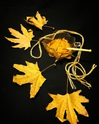 سس دلسه دلچه