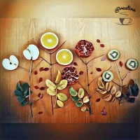 صد قاب خاطره