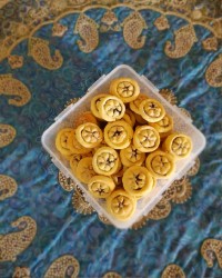 کلمپه های فسقلی