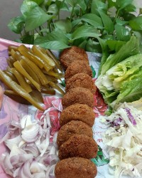 فلافل ،جاتون خالی