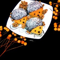 کوکی جوجه تیغی