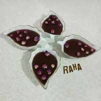 مشکوفی کاکائویی