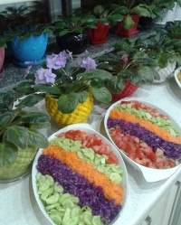 مهمونی آبجی سولی