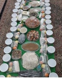 سفره حضرت ابوالفضل (ع)ورق بزنید لطفا