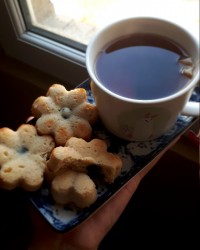 کاپ کیک شیر نارگیل