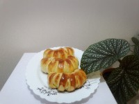 اشتردول مرغ