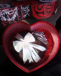 قلب سورپرایز