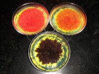 ژله تزریقی در جام