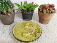 ماست بزه خورش